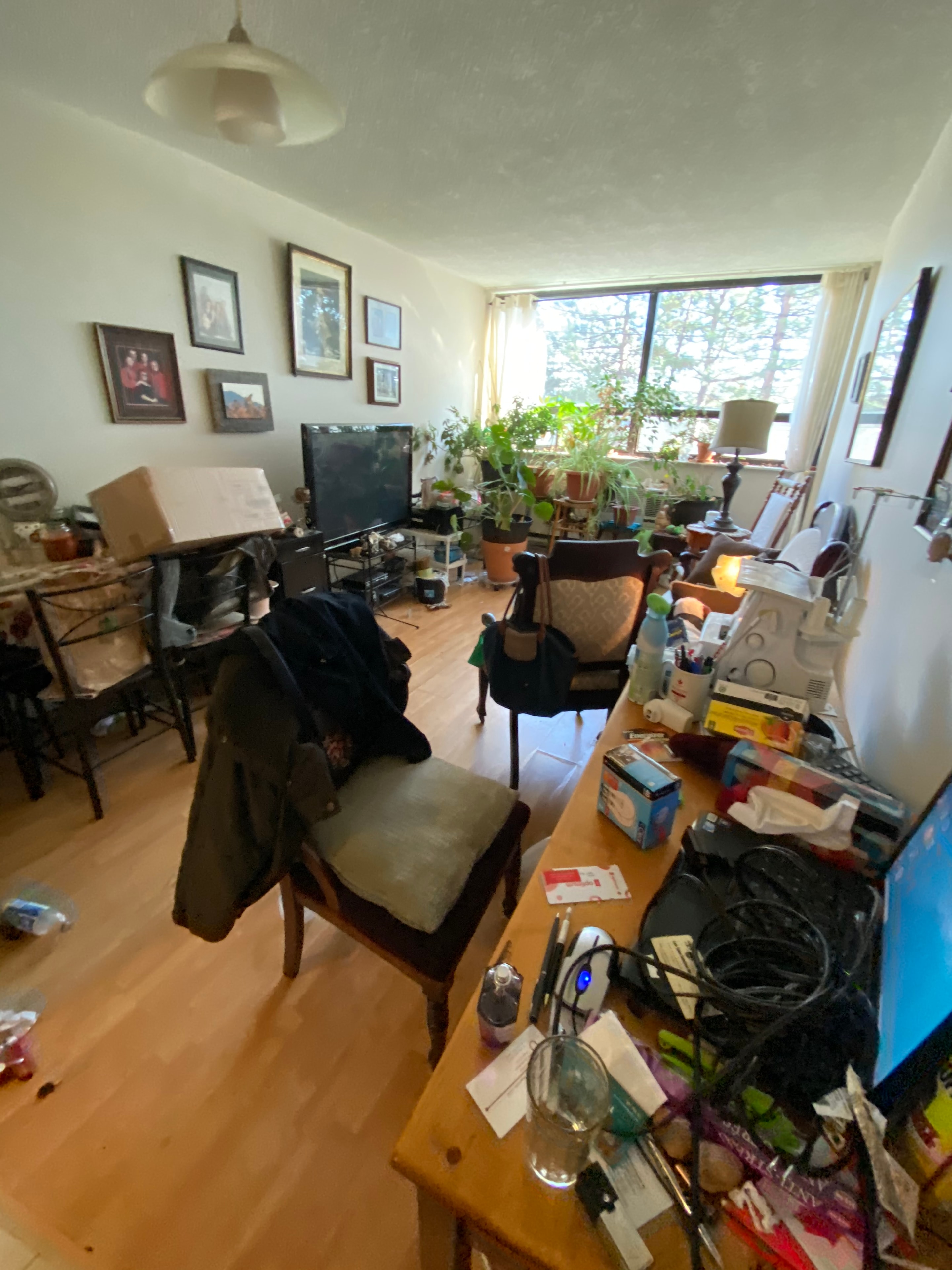 Residential property requiring professional cleanup