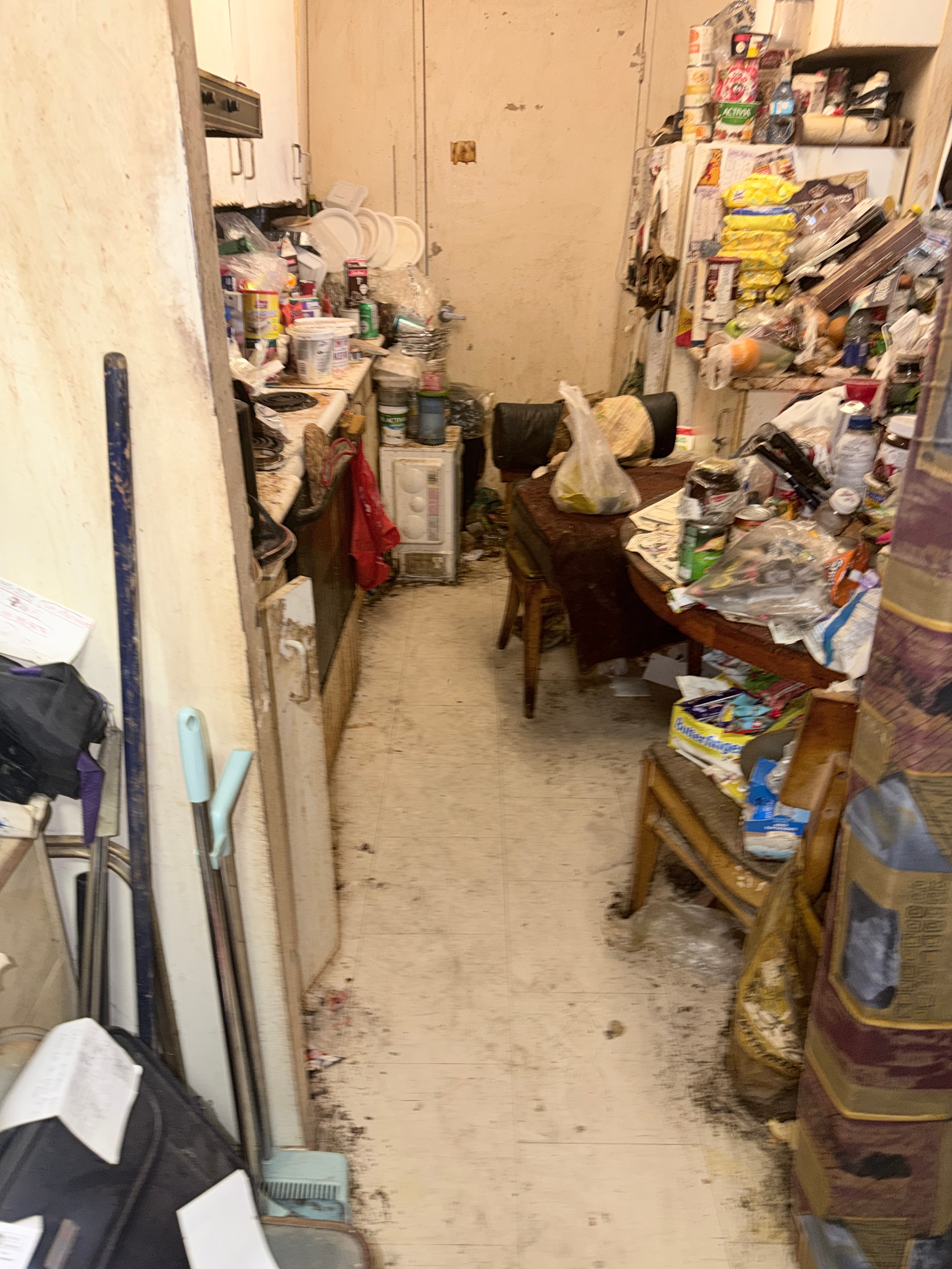 Residential unit conditions requiring professional service