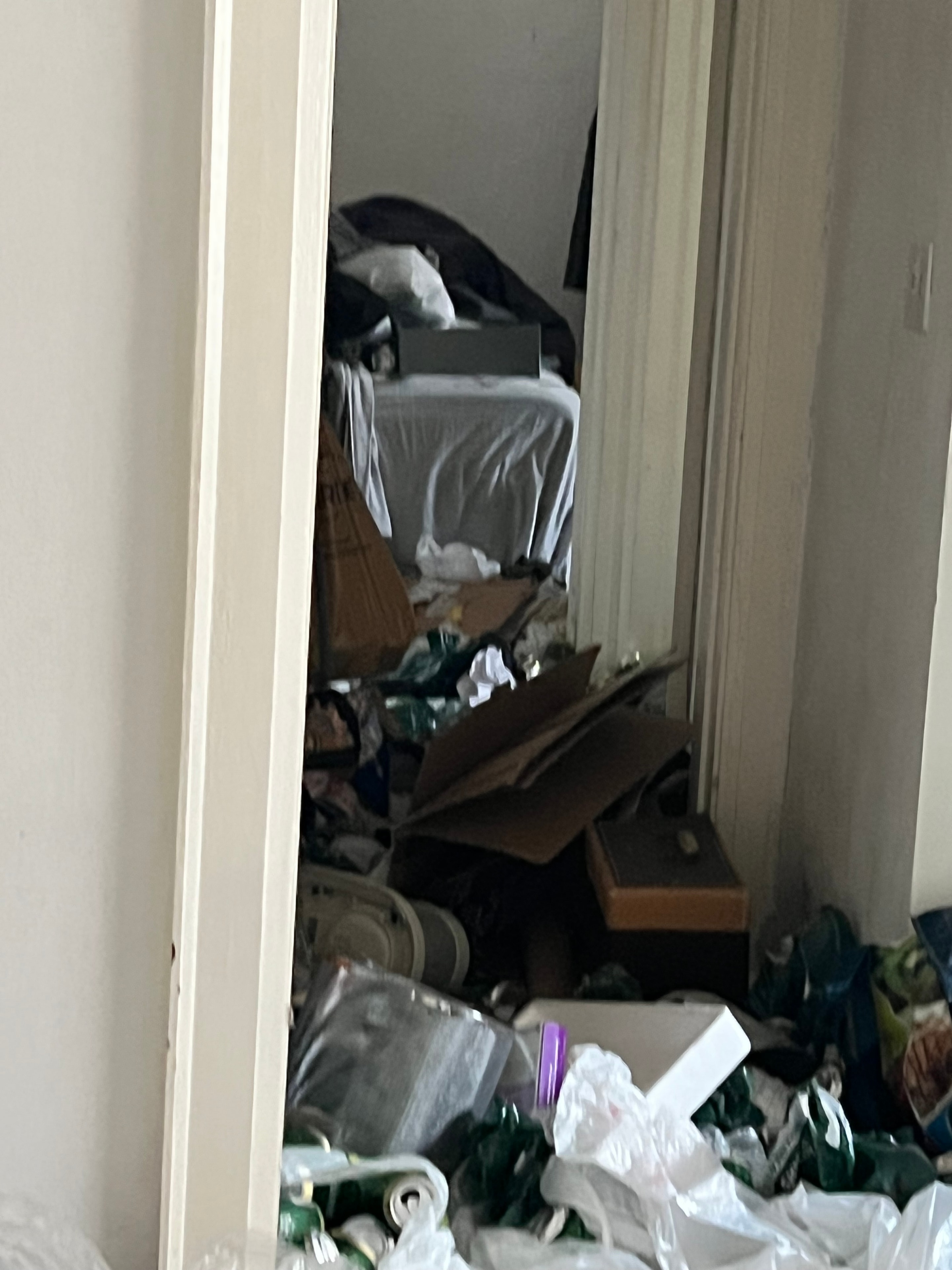 Cluttered residential space requiring cleanup