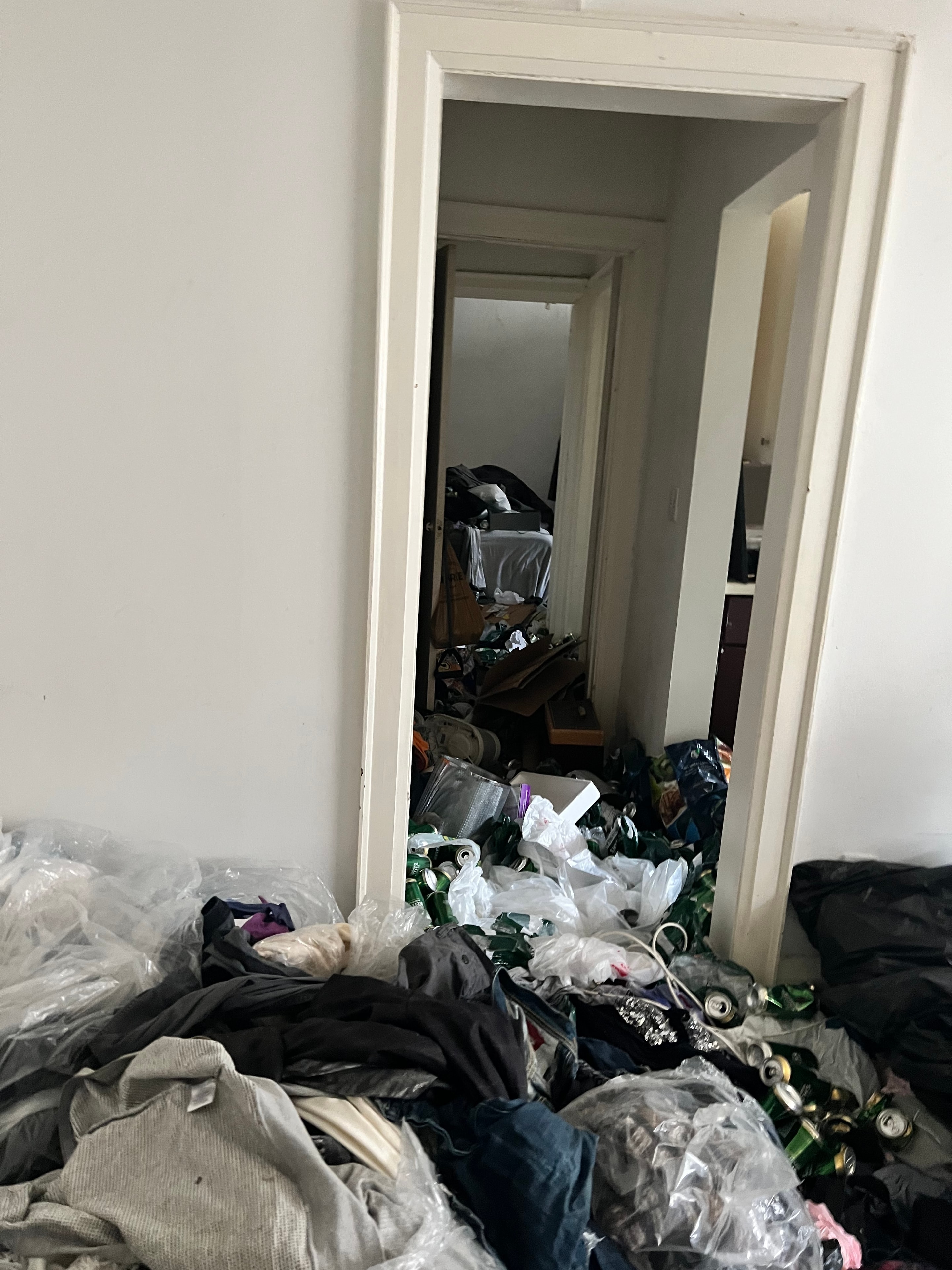 Residential property conditions requiring cleanup