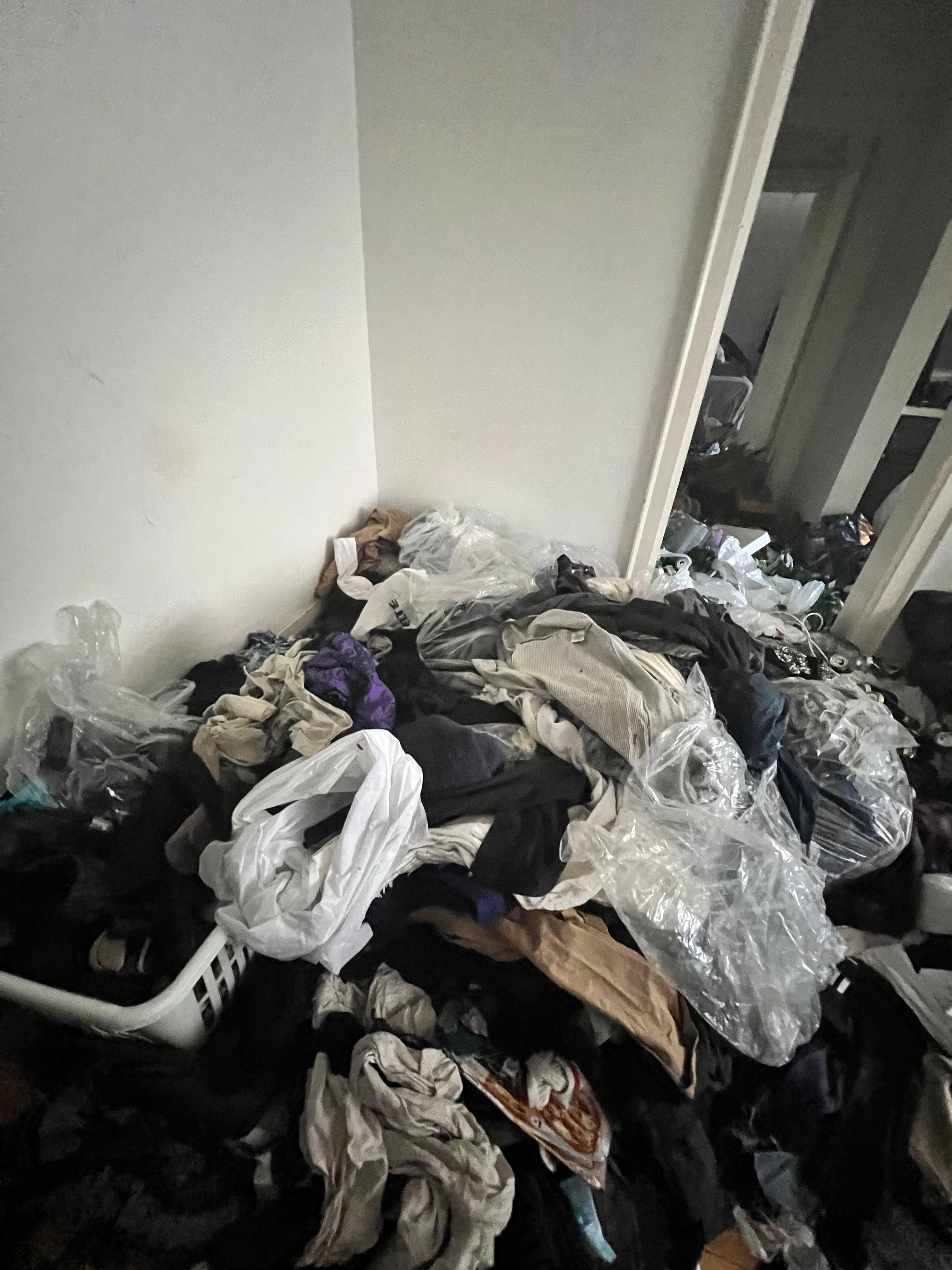 Residential space following professional cleanup